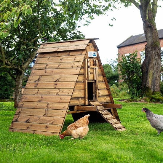 The Dingle Chicken Coop UK - Smiths Sectional Buildings